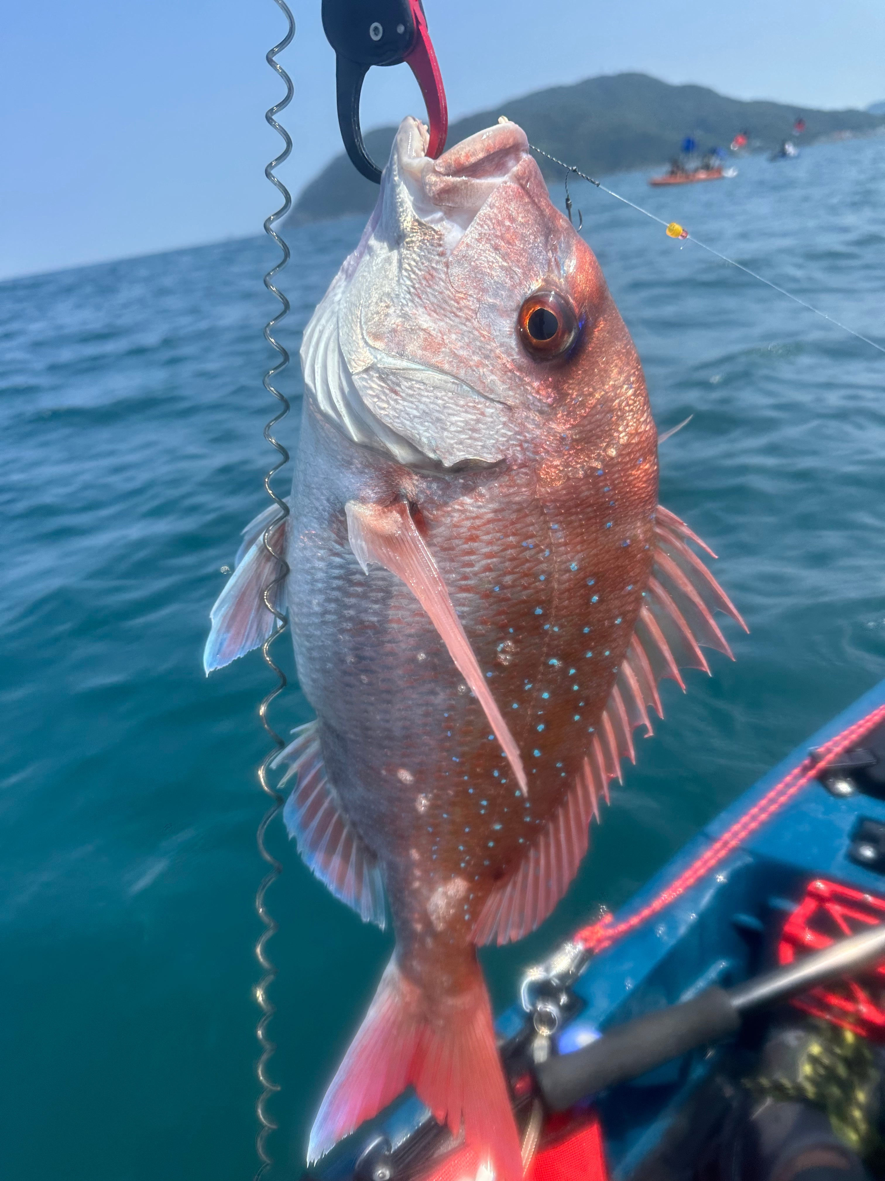 糸島のカヤックフィッシング