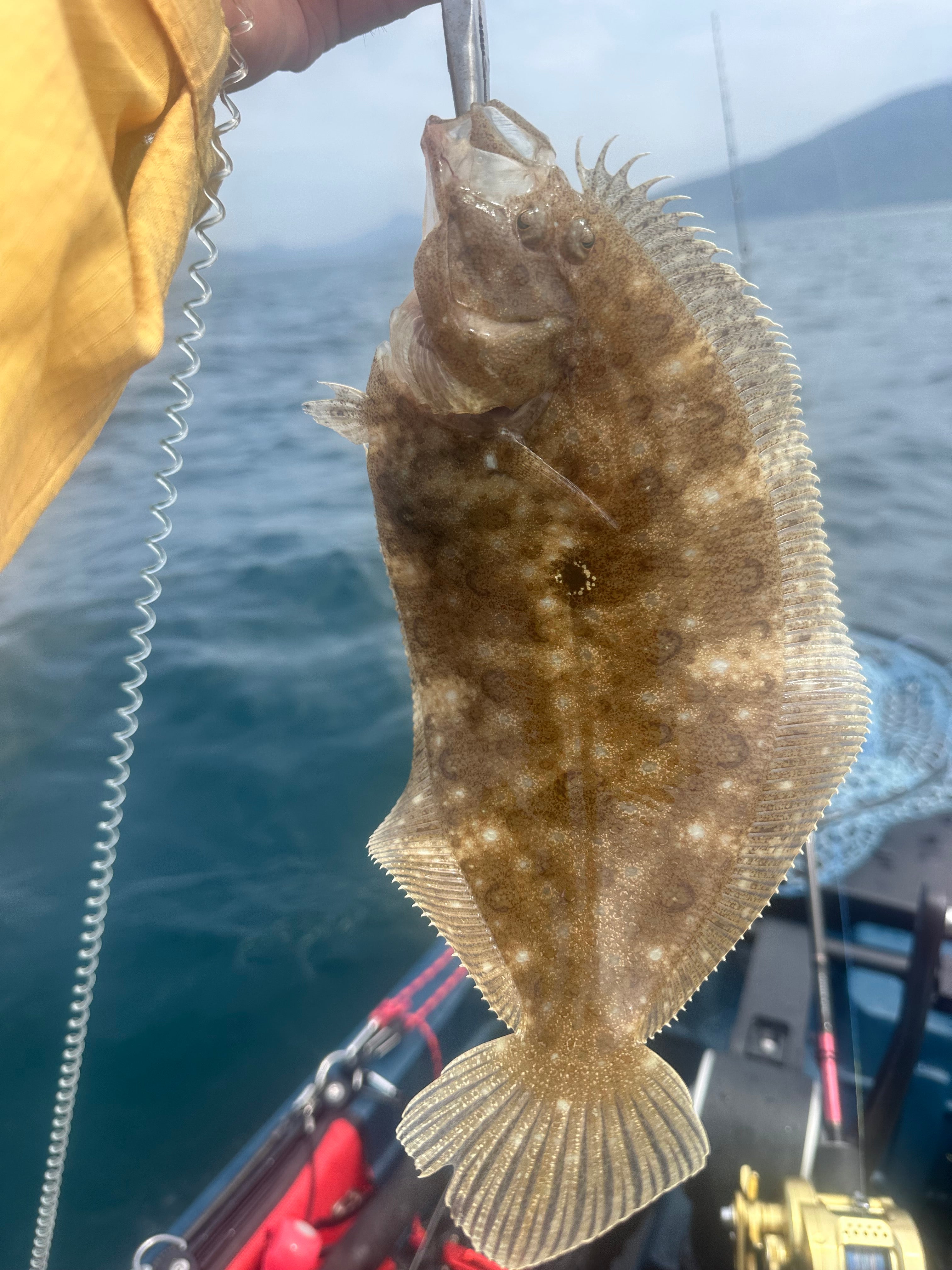 今年最初のカヤックフィッシング