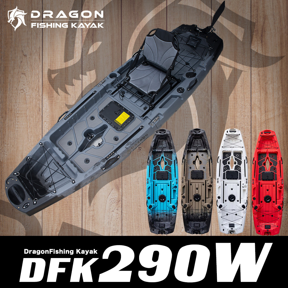 DFK290W